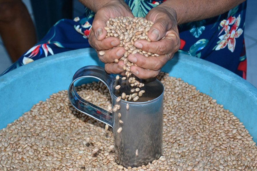 30032026114354 30032026114354