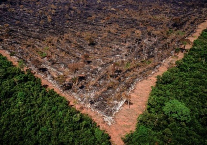 Amazonia-desmatamento