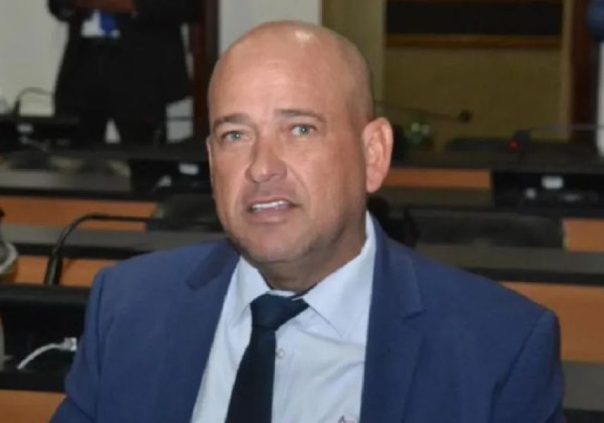 Binho-galinha Binho-galinha