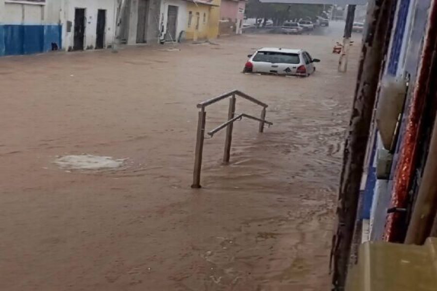 Chuva-Iuiu-e1774541275437