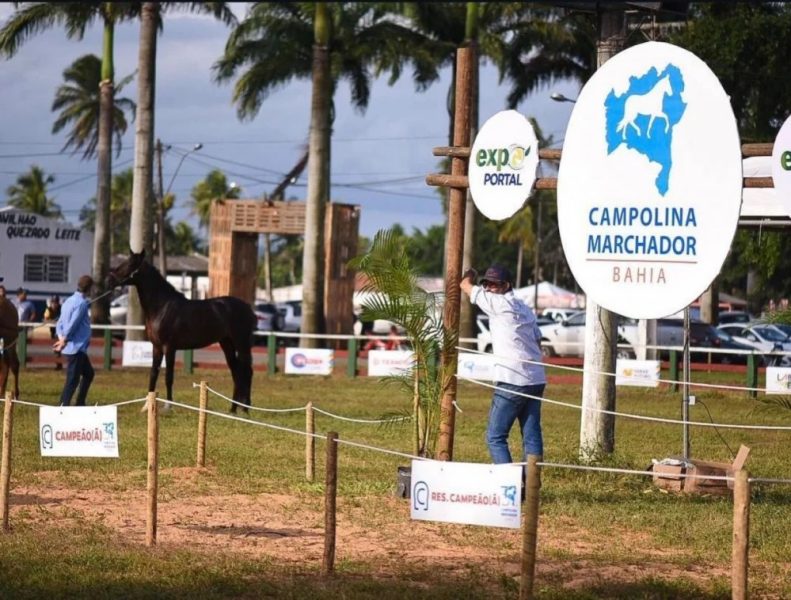 Exporportal-2026-Feira-de-Santana-1000x758-2