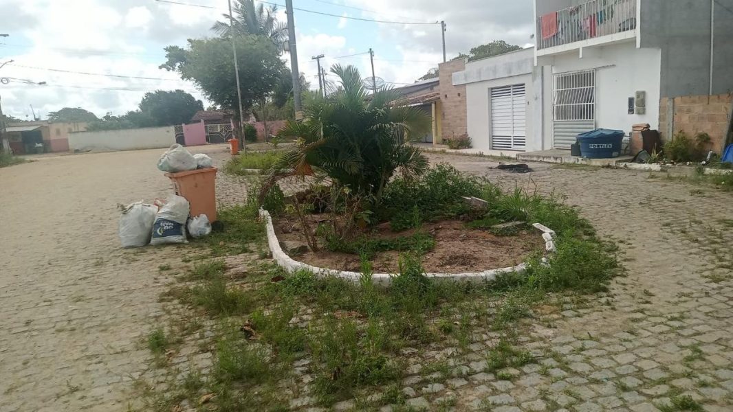 Feira-V