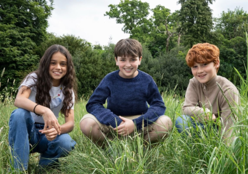 Harry-Potter Harry-Potter