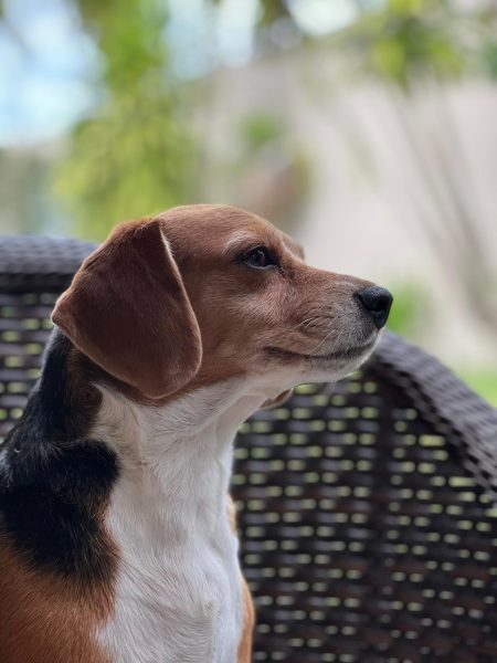 IMG-20251126-WA0025 IMG-20251126-WA0025