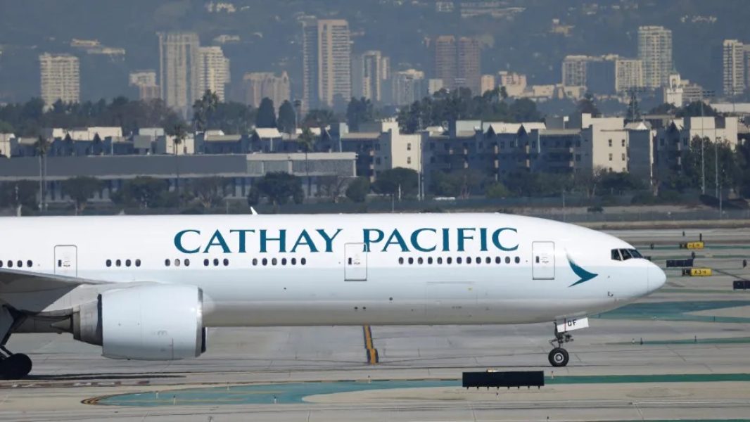 Imagem-do-WhatsApp-de-2025-12-13-as-21.50.52_2ae181f4 Imagem-do-WhatsApp-de-2025-12-13-as-21.50.52_2ae181f4