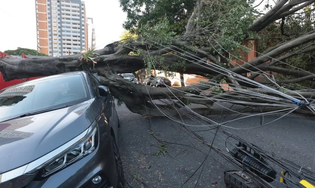 Imagem-do-WhatsApp-de-2025-12-15-as-11.56.33_430b7e51 Imagem-do-WhatsApp-de-2025-12-15-as-11.56.33_430b7e51