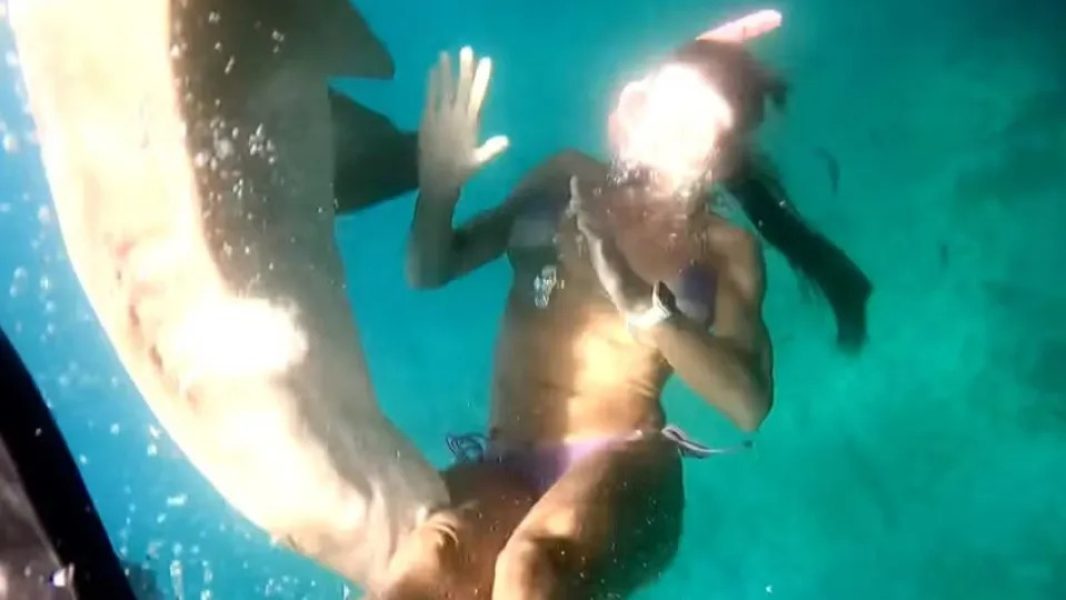 WhatsApp-Image-2026-01-11-at-13.14.37