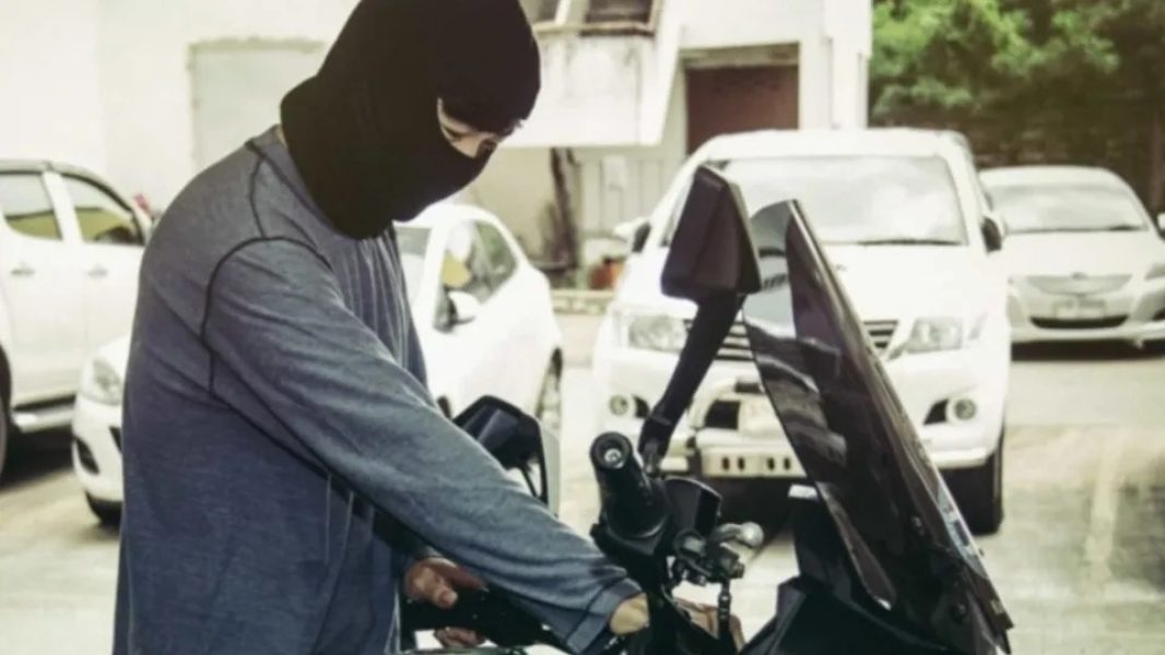 WhatsApp-Image-2026-01-15-at-16.27.09