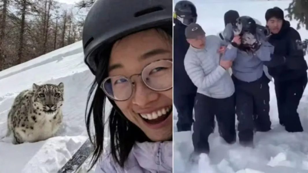 WhatsApp-Image-2026-02-01-at-08.51.12