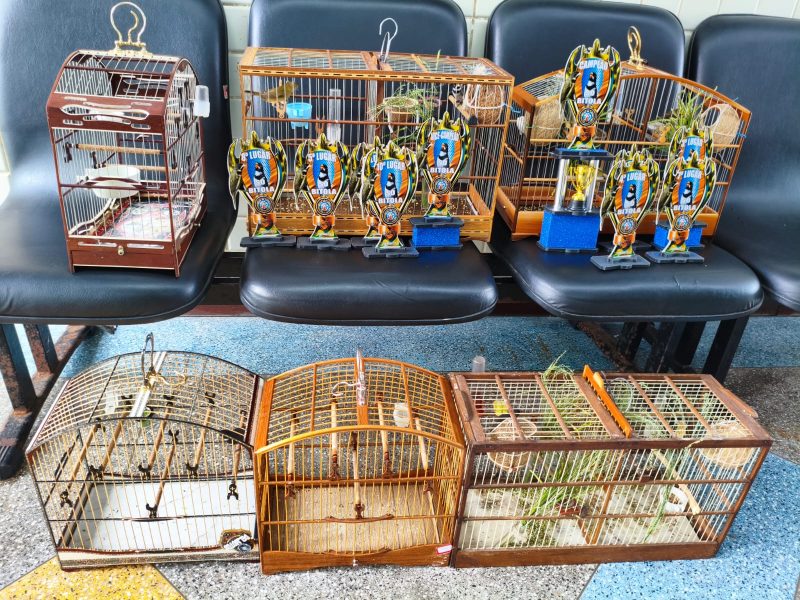 WhatsApp-Image-2026-02-26-at-16.21.10 WhatsApp-Image-2026-02-26-at-16.21.10