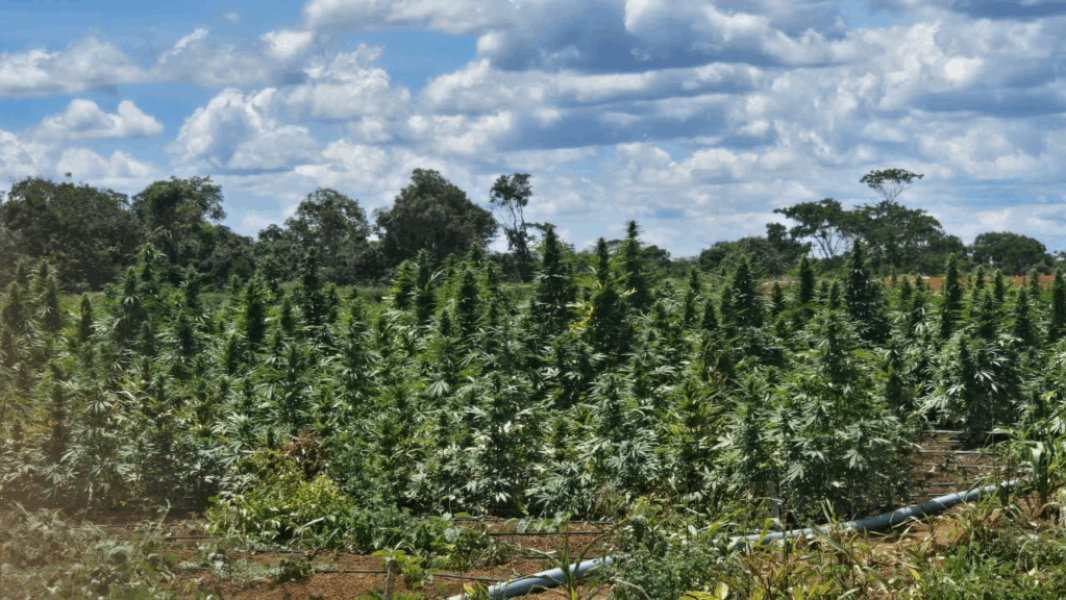 WhatsApp-Image-2026-03-13-at-19.02.37-1-1024×576-1 WhatsApp-Image-2026-03-13-at-19.02.37-1-1024x576-1