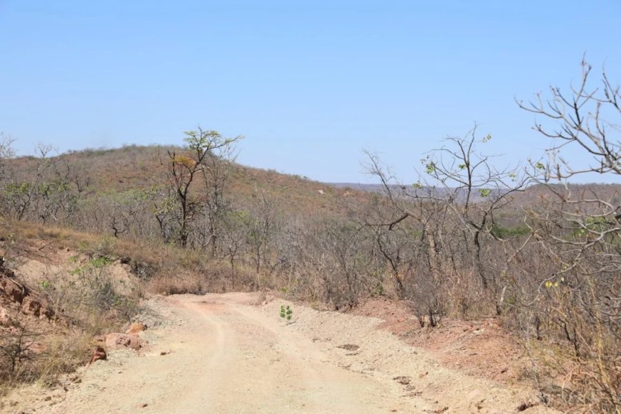 WhatsApp-Image-2026-03-23-at-14.51.28