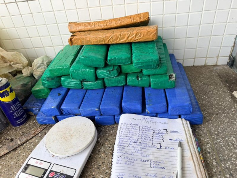 WhatsApp-Image-2026-04-06-at-16.17.11-1 WhatsApp-Image-2026-04-06-at-16.17.11-1