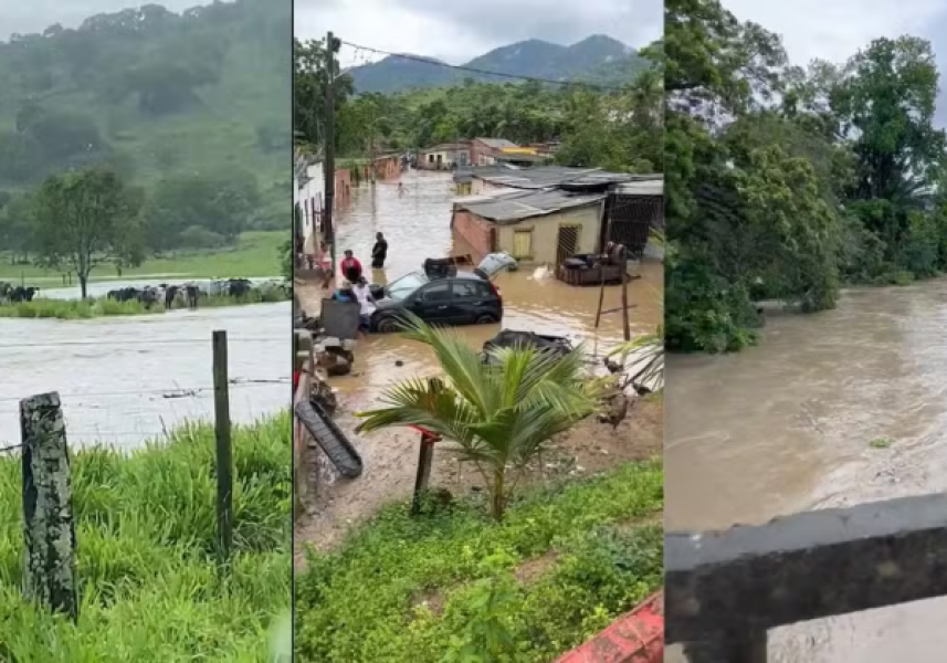 alagamento-pau-brasil-reproducao-1