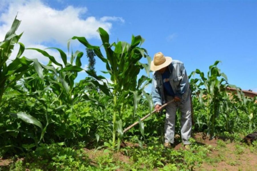 b2ap3_medium_09032026185208