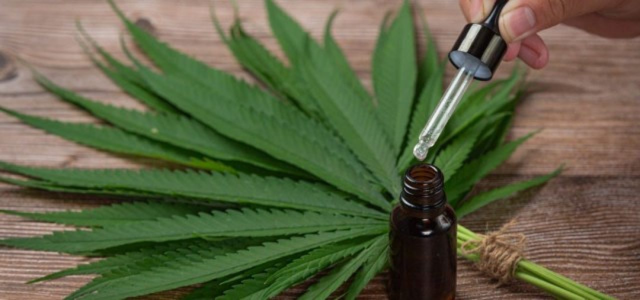 b2ap3_medium_177177anvisa-oficializa-as-novas-regras-sobre-uso-da-cannabis-medicinal-no-brasil-3