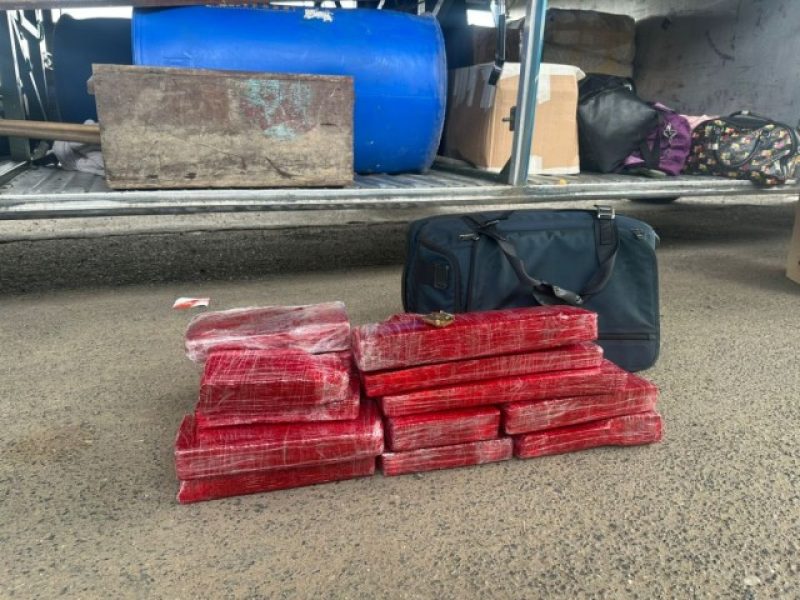 b2ap3_medium_39f3bc53-ed5c-480e-9321-425eae0ca091 b2ap3_medium_39f3bc53-ed5c-480e-9321-425eae0ca091