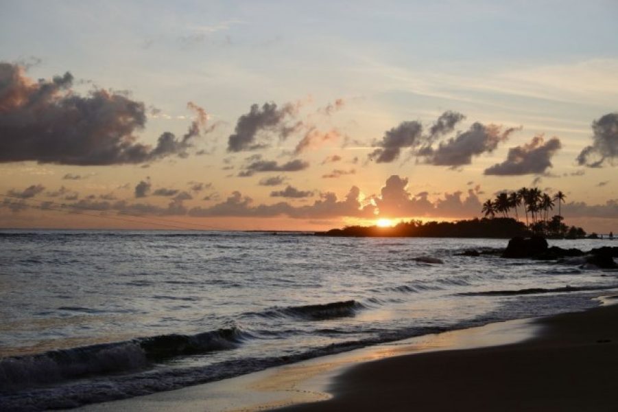 b2ap3_medium_Captura-Peixe-Leo-6