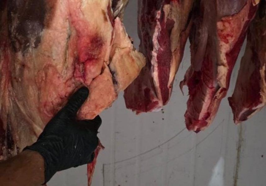 b2ap3_medium_WhatsApp-Image-2026-02-04-at-12.38.17_20260204-175232_1