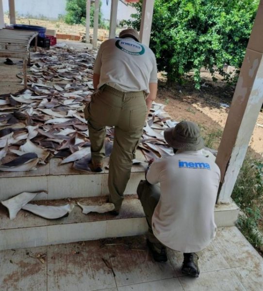 b2ap3_medium_WhatsApp-Image-2026-02-12-at-18.09.42