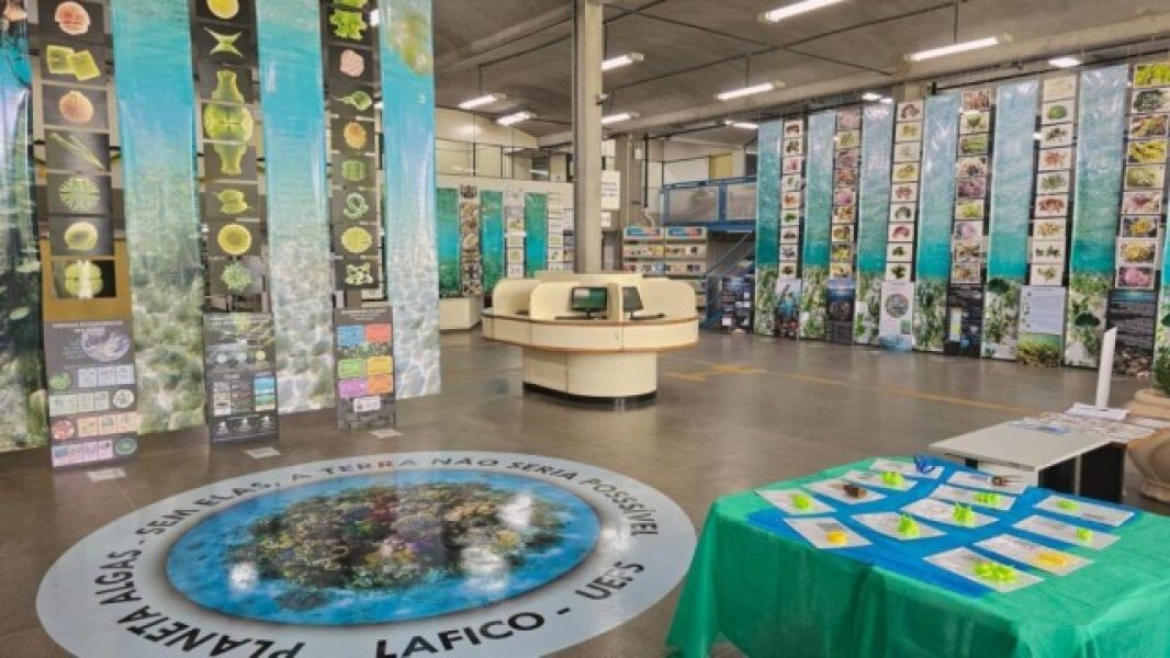 b2ap3_medium_algas-1024x576-1