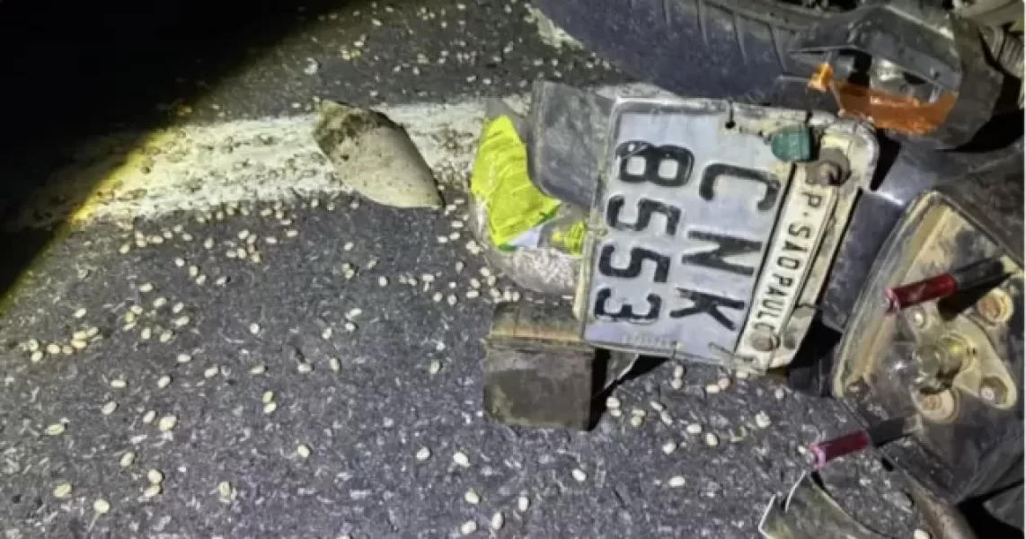 b2ap3_medium_coliso-na-ba-026