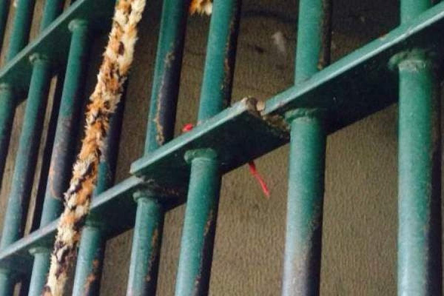 b2ap3_medium_grades-cela-prisao-delegacia-1 b2ap3_medium_grades-cela-prisao-delegacia-1