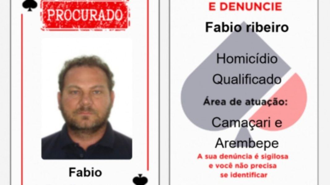 barailho_widelg barailho_widelg