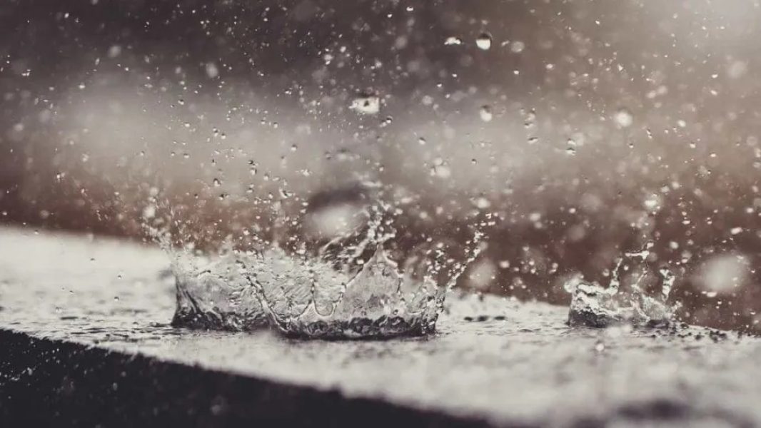 d8f02a78-4e85-4c9f-b0c9-47c070a1e576