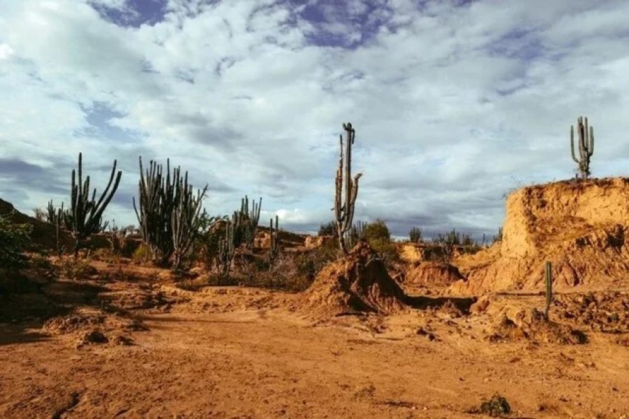el-nino