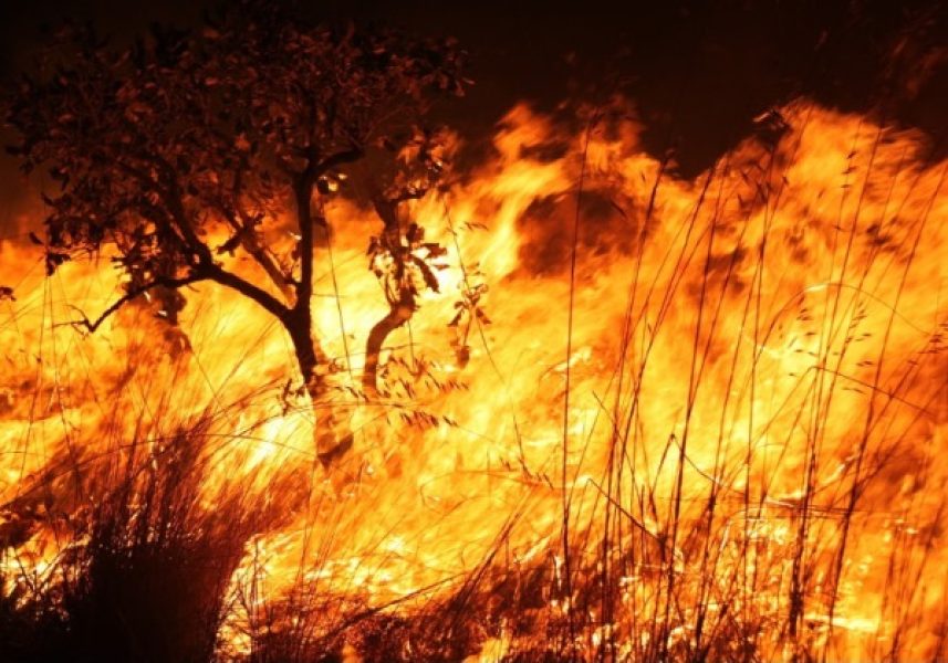 incendio-florestal incendio-florestal