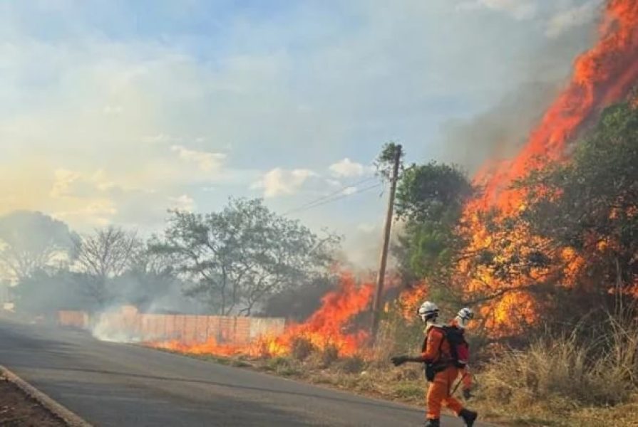 incendios_sudoeste_widelg incendios_sudoeste_widelg