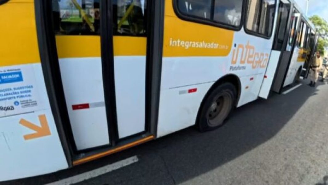 integra-e1773054697153