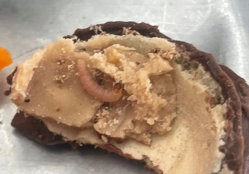 larvas-em-sobremesa-da-ufba