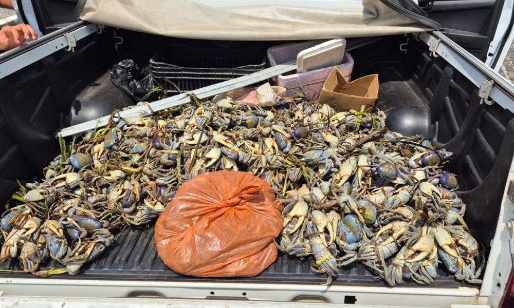 texto-do-seu-paragrafo-2026-04-20t091147.326