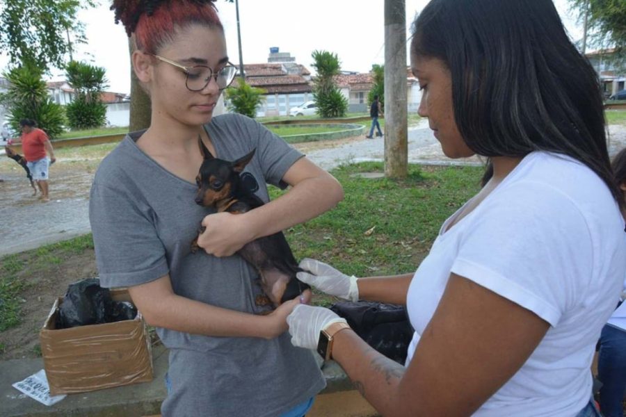vacina-contra-raiva-caes-e-gatos-foto-valdenir-Lima-prefeitura-feira-de-santana-1153x768-1